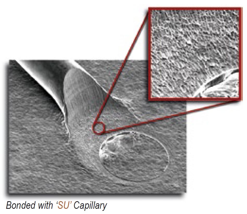 Bonded with SU Capillary